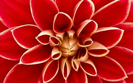 Guided Root Chakra Healing Meditation