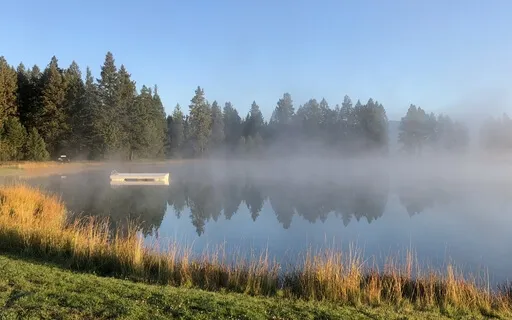 Guided Savasana Meditation – 15 Minutes (With 5:30 Silence)