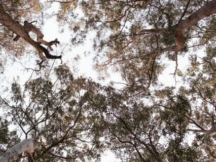 Guided Savasana Practice - 15 Minutes