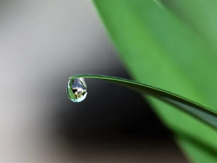 Guided Savasana Relaxation