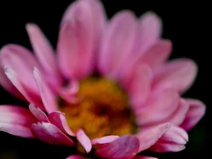 Guided Self-Compassion