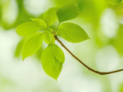 Affirmations To Foster Healthy Self-Esteem 