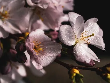 Guided Self-Love Meditation