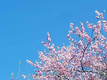 Guided Self-Reiki Practice For The Head