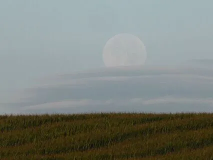 Guided Session For Focused Work (Pomodoro Technique)