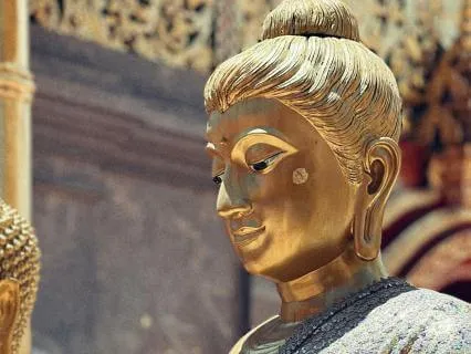 Guided Session, To Attract Abundance By Healing The Roots