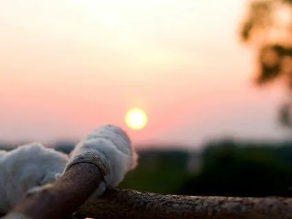 Guided Shamanic Journey To Communicate With Power Animal