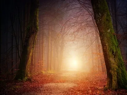 A Shamanic Journey - The Akashic Field: Meet Spirit Guide