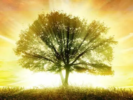 Guided Sleep Meditation: Attract Miracles As You Sleep