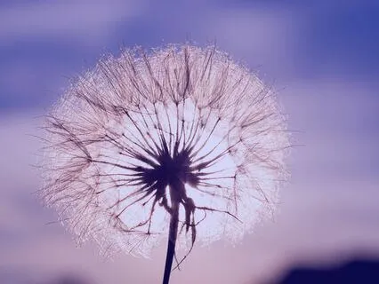 Guided Sleep Meditation: Connect With Your Guardian Angel