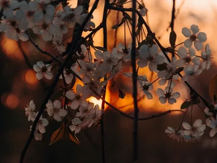 Guided Sleep Meditation for a busy mind (with background music)