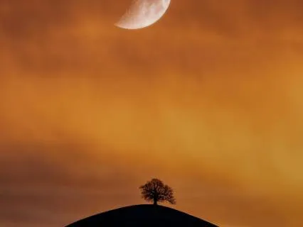 Guided Sleep Meditation For Deep Rest