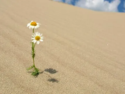 Guided Sleep Meditation For Insomnia