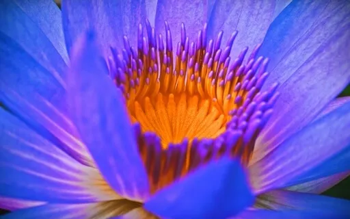 Guided Sleep Meditation, Release Your Worry & Sleep Deeply