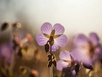 Guided Sleep Meditation To Heal Body, Mind, Spirit