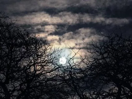 Guided Sleep Meditation