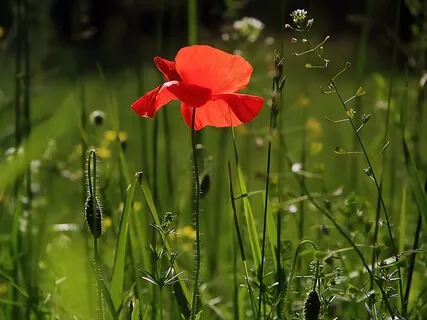 Guided Sound Session: Reconnect With Yourself