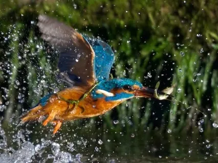 Guided Spring Clean Of The Mind