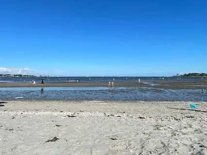 Guided Stargazing Meditation