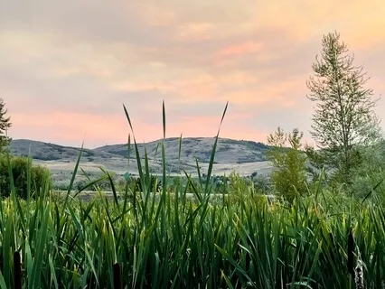 The 4 Elements | Guided Stress Release