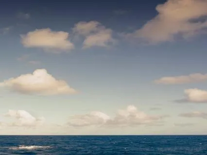 Guided Support Through High Anxiety And Panic