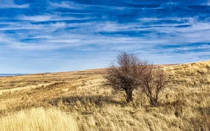 Guided Tonglen (Sending & Taking) for Ukraine & Russia