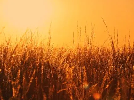 Guided Two Way Prayer (17 Mins)