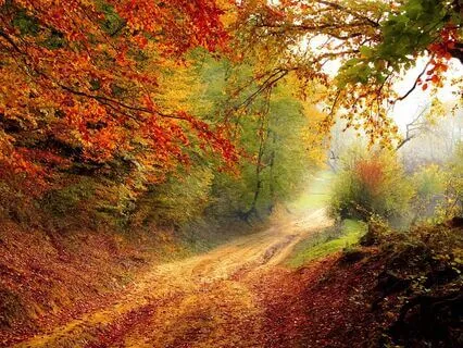 Guided Vision Meditation