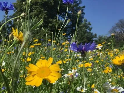 Meditation For Changing Perspective