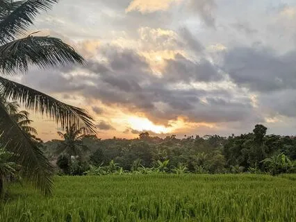 Guided Visualisation Bali (Yoga Nidra-Style Meditation)