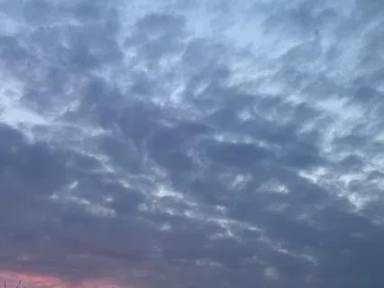 Guided Visualisation: Donkeys By The Sea In Springtime