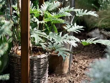 Healing Guided Visualisation For Nurturing Balance And Joy