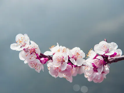 Guided Visualisation To Balance Fear