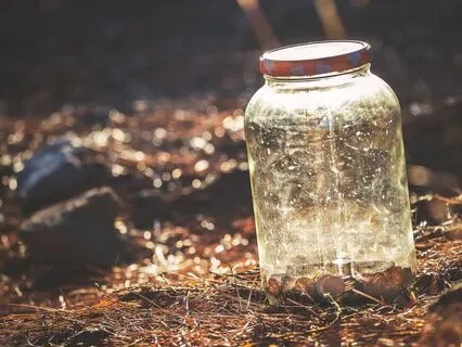 Guided Visualization: Container