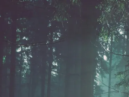 Create A Safe Space Within