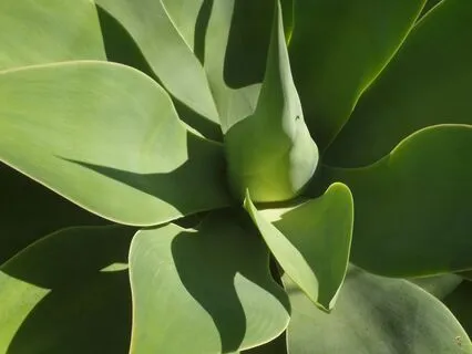 Energy Protection (No Music)