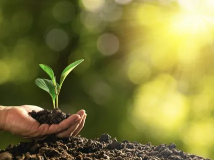 Guided Visualization For Success & Prosperity