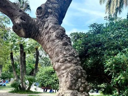 Guided Visualization For Cutting Energy Cords