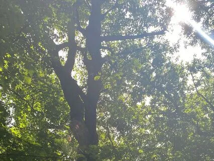 Visualization For Energetic Alignment