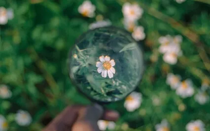 Guided Visualization For Focus