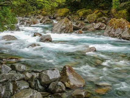 Guided Visualization For Healing The Gut