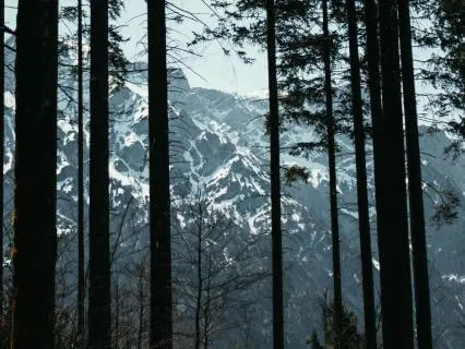 Guided Visualization For Motivation - Enjoy The Journey