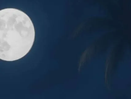 Guided Visualization For Relaxation: A Desert Oasis