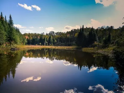 Guided Visualization Meditation For Overwhelm