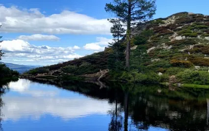 Guided Visualization To Connect To Your Higher Self