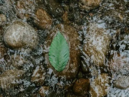 Guided Visualization To Help Calm The Mind