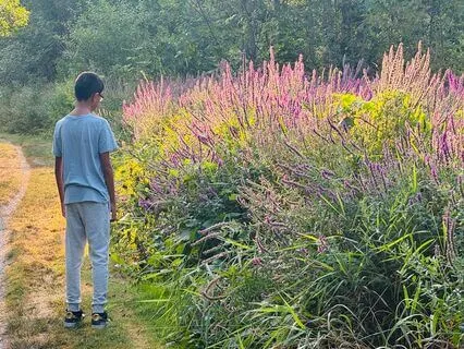 Guided Visualization - Welcome To The Container