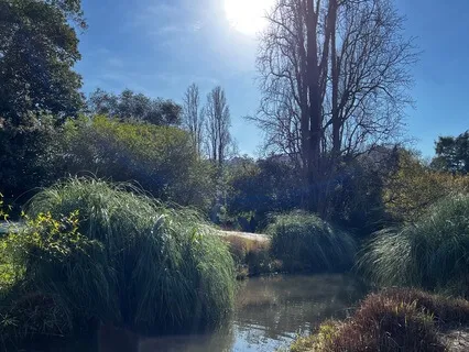 Guided Visualization - Your Favourite Place