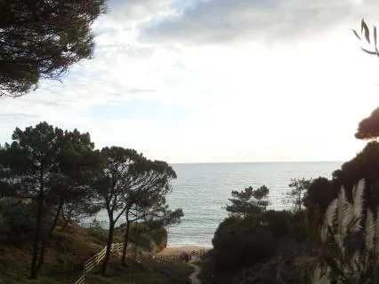 Deep Sleep - Stairways Into The Stars (No Music)