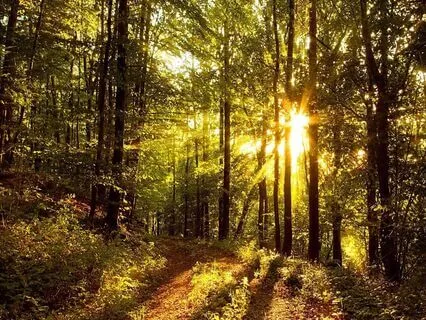 Guided Walking Grief Meditation